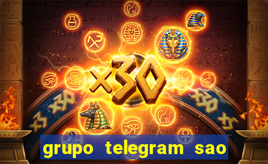 grupo telegram sao jose do rio preto